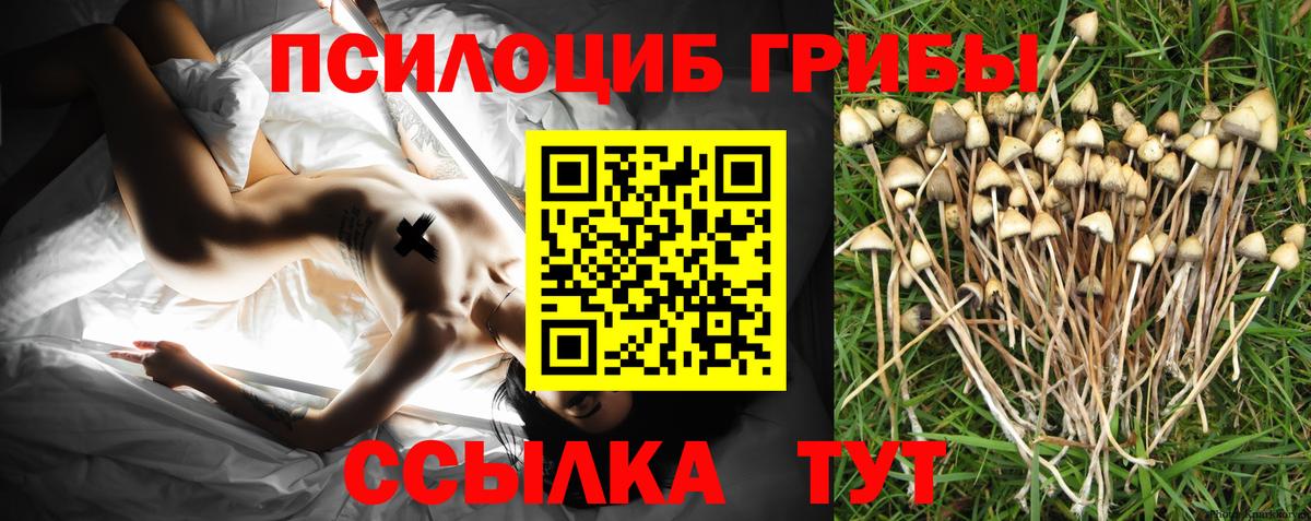 Галлюциногенные грибы Psilocybine cubensis  Галлюциногенные грибы мухоморы  Вход с VPN  Кызыл 